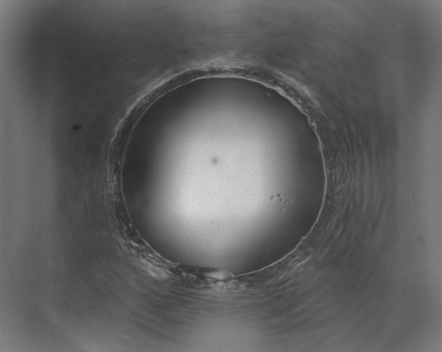 X0000073951160200609051745