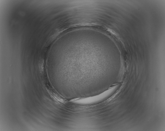 X0000073951161200609051745