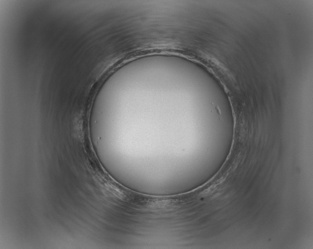 X0000073951162200609051745