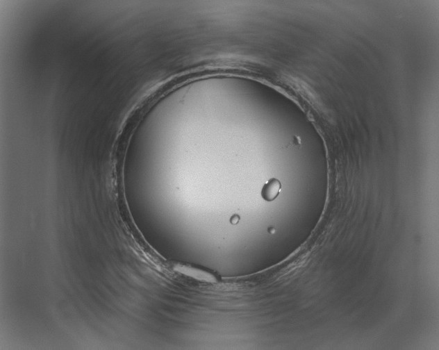 X0000073951164200609051745