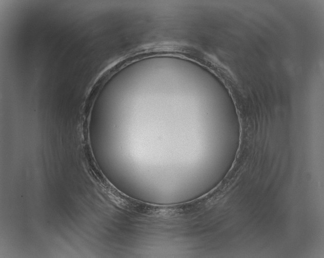 X0000073951166200609051745