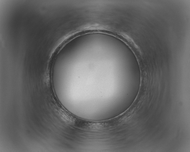 X0000073951167200609051745