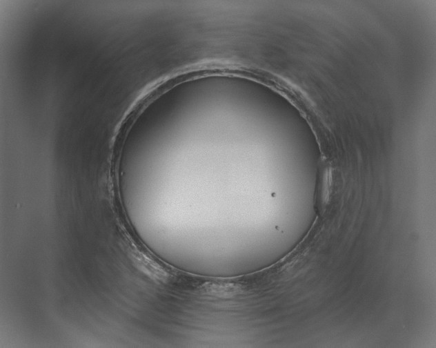 X0000073951168200609051745