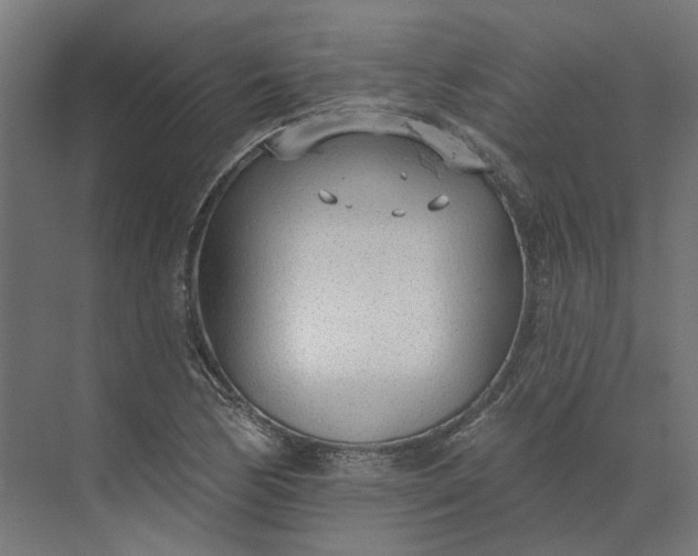 X0000073951170200609051745