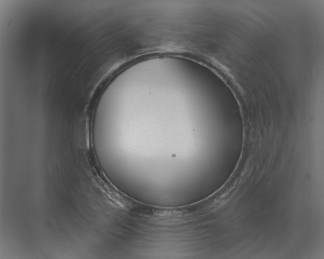 X0000073951171200609051745