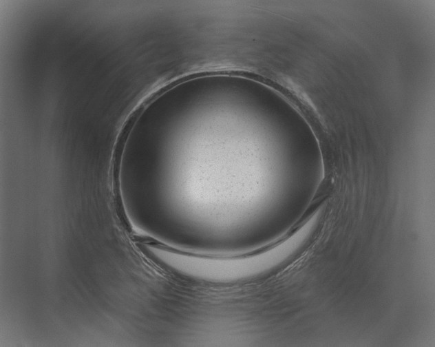 X0000073951173200609051745