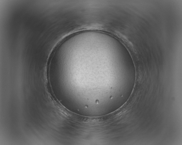 X0000073951174200609051745