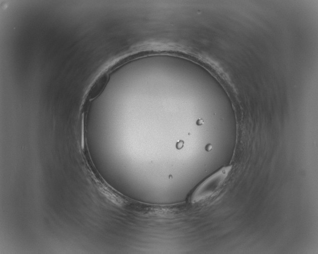 X0000073951175200609051745