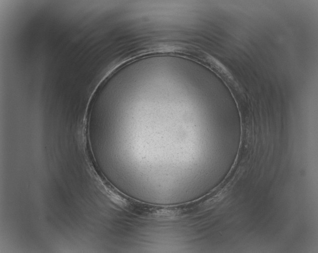 X0000073951178200609051745