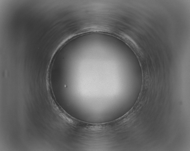 X0000073951182200609051745