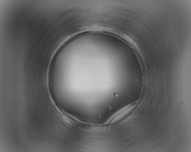 X0000073951183200609051745