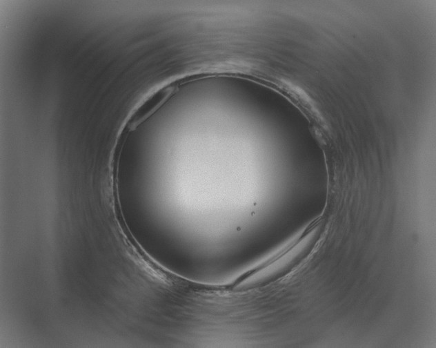 X0000073951184200609051745