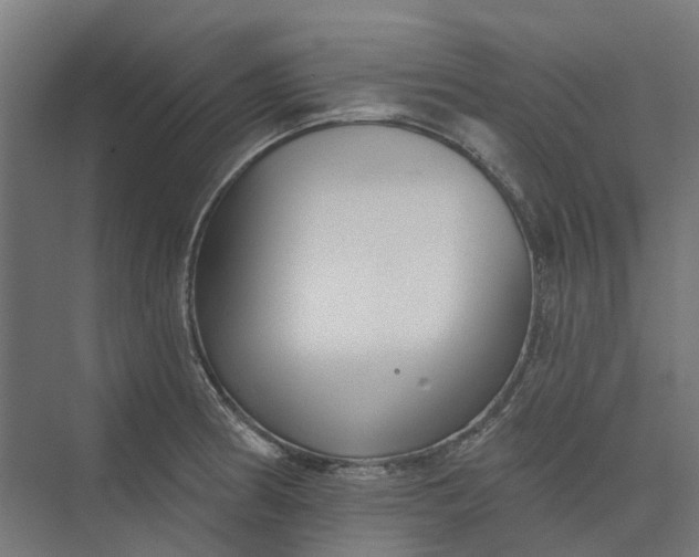 X0000073951186200609051745