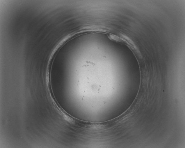 X0000073951188200609051745