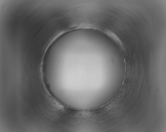 X0000073951190200609051745