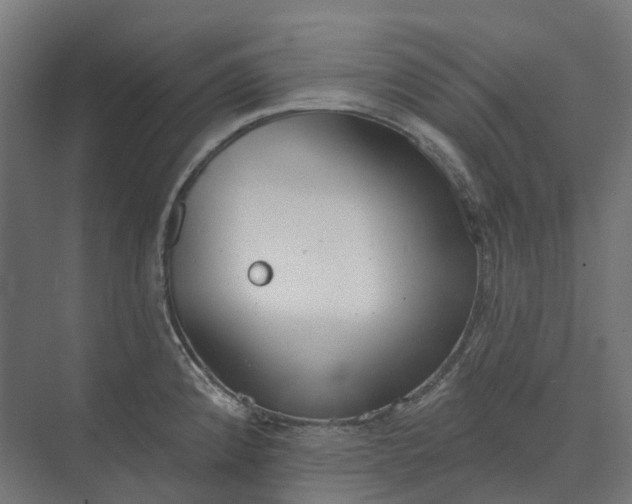 X0000073951192200609051745