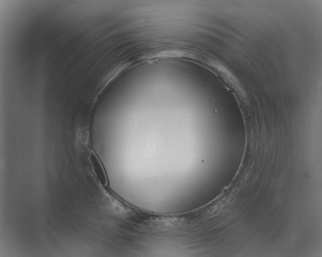 X0000073951193200609051745