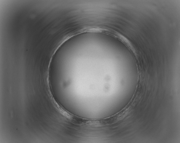 X0000073951194200609051745