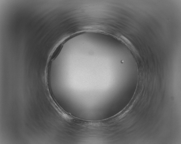 X0000073951196200609051745