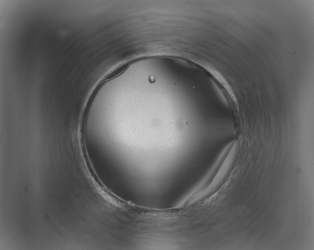 X0000073951197200609051745