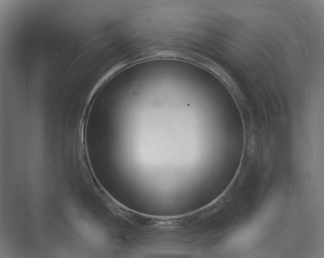 X0000073951198200609051745