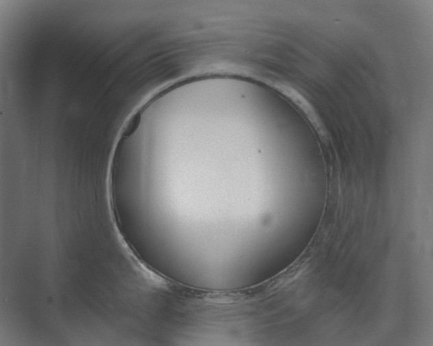 X0000073951199200609051744