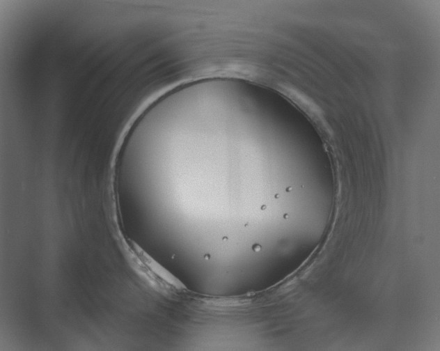 X0000073951200200609051744