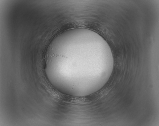 X0000073951201200609051744