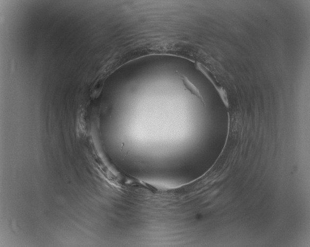 X0000073951202200609051744