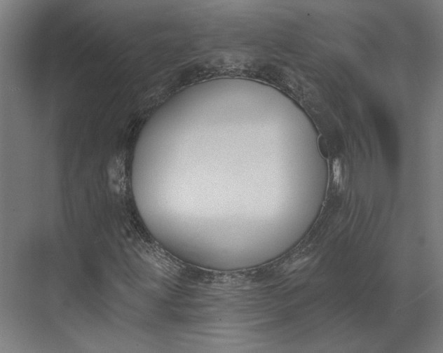 X0000073951203200609051744