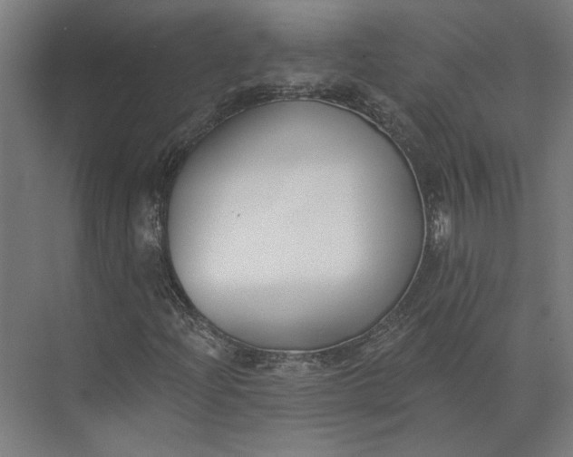 X0000073951204200609051744