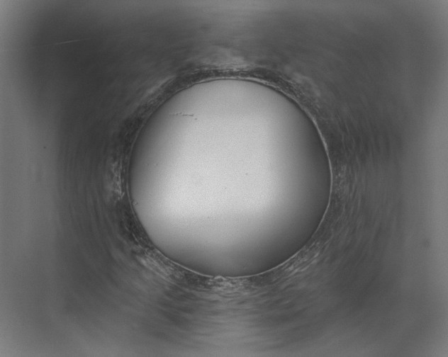 X0000073951205200609051744