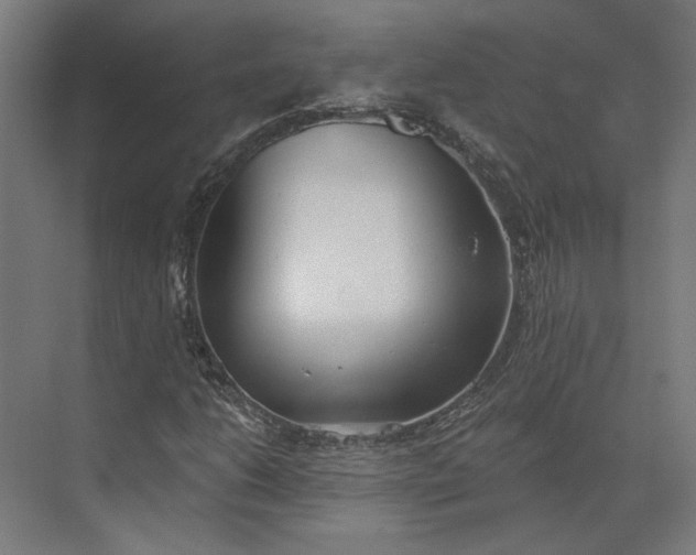 X0000073951206200609051744