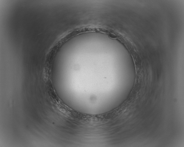 X0000073951207200609051744