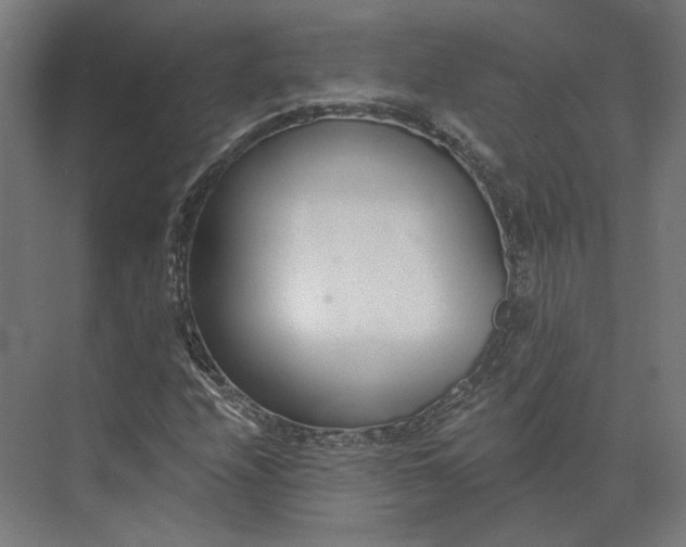 X0000073951208200609051744