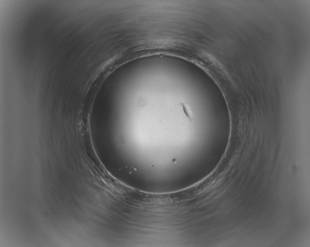 X0000073951210200609051744