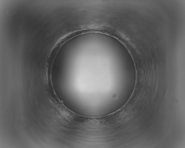 X0000073951214200609051744