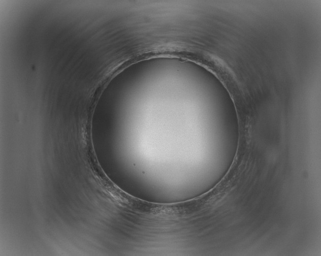 X0000073951217200609051744