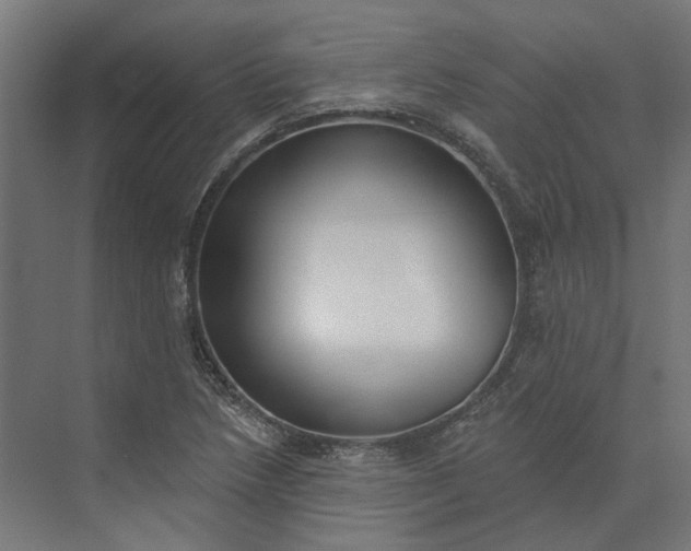 X0000073951218200609051744