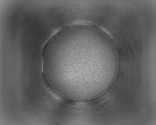 X0000073951219200609051744