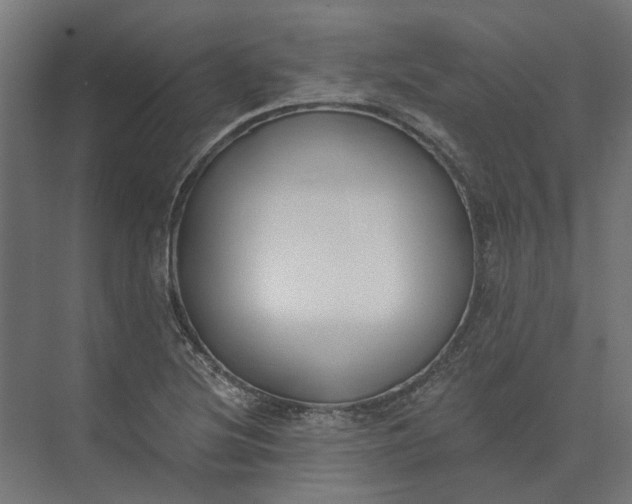 X0000073951220200609051744