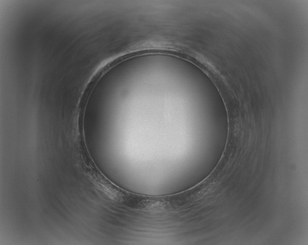 X0000073951222200609051744