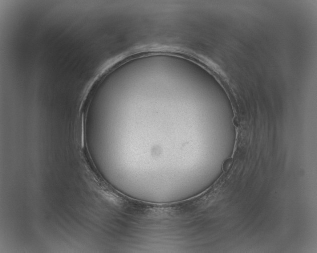 X0000073951223200609051744