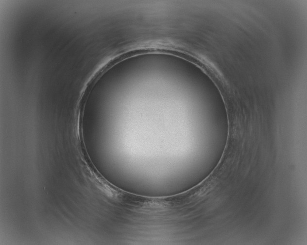 X0000073951224200609051744