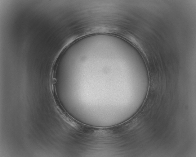 X0000073951227200609051744