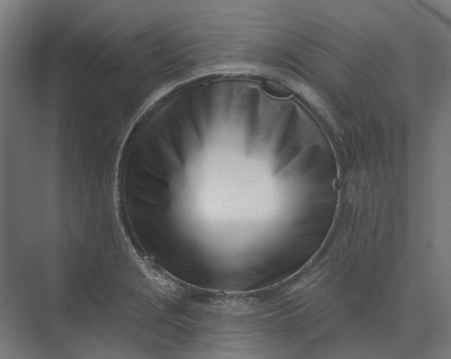 X0000073951229200609051744