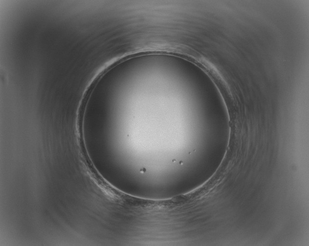 X0000073951230200609051744