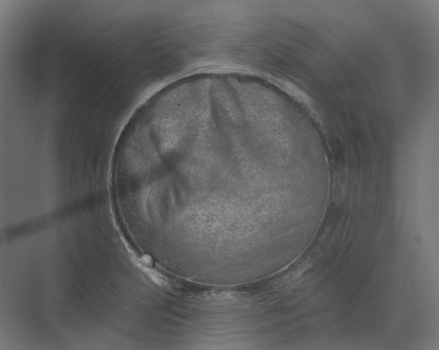 X0000073951231200609051744