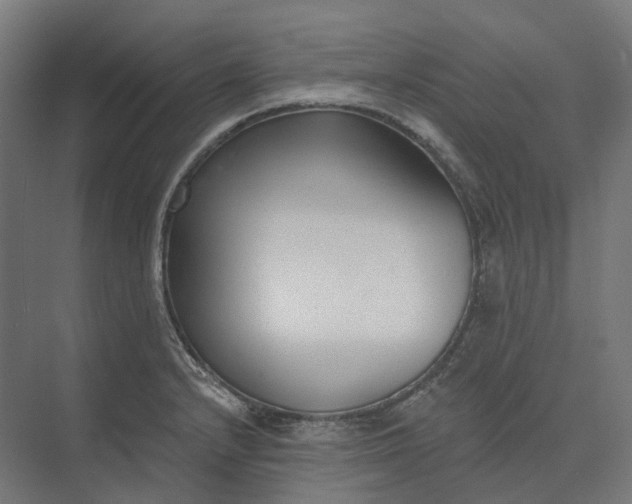 X0000073951232200609051744