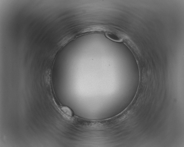 X0000073951233200609051744